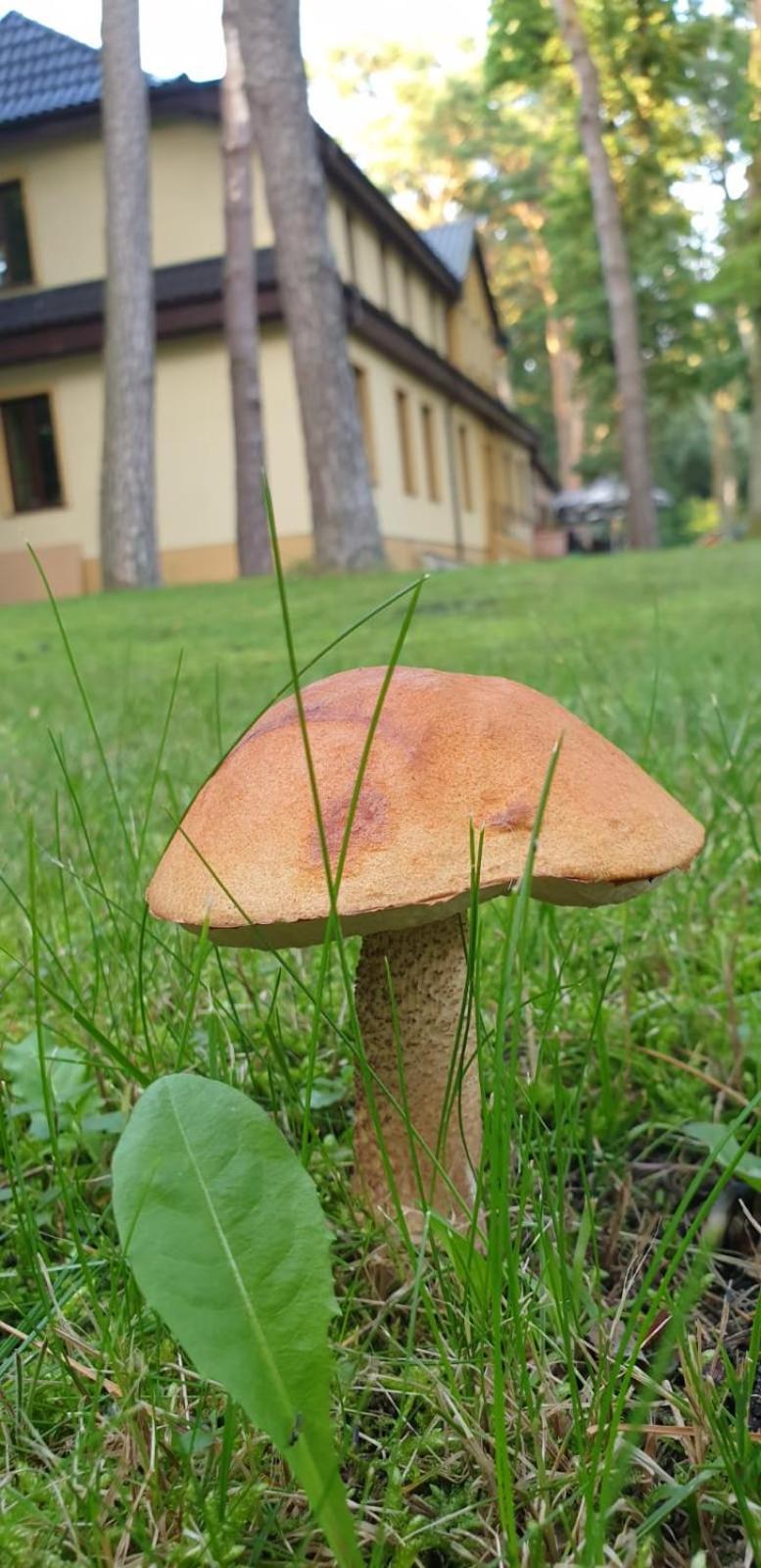 Toscana Camp Pogorzelica  Buitenkant foto